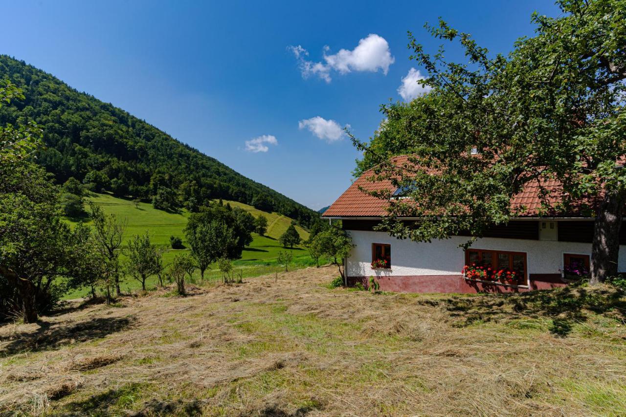 Apartment Vrhivsek Frankolovo Kültér fotó